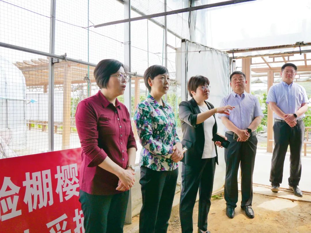 山东考察党组织领办合作社.jpg