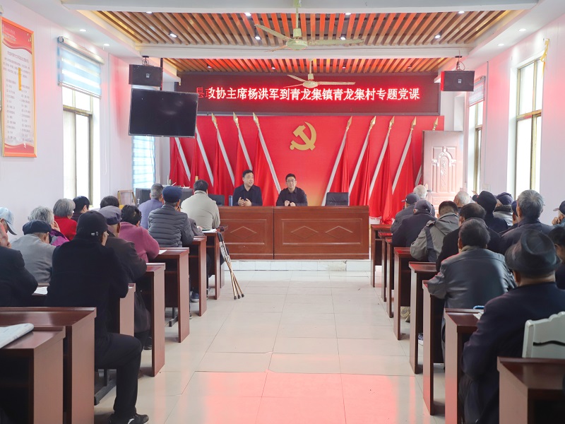 3.26杨主席青龙村上党课.jpg